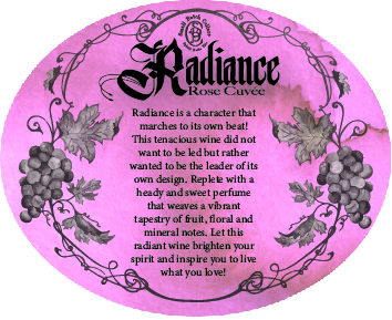 radiance front jpeg edited text new